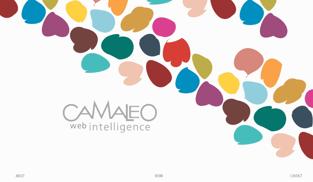 CAMALEO web intelligence