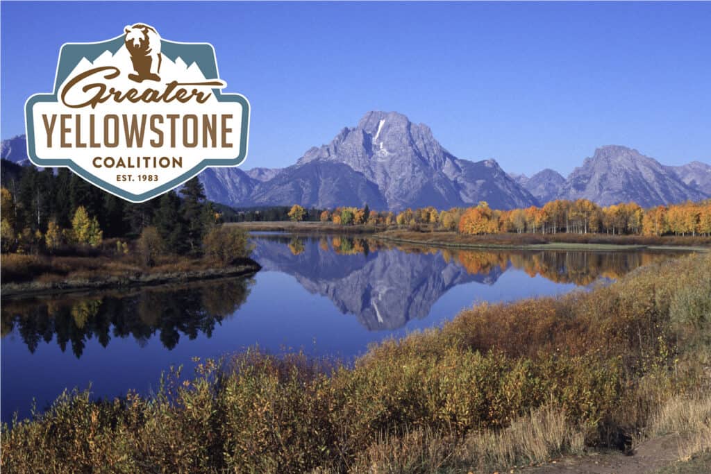 Greater Yellowstone Coalition